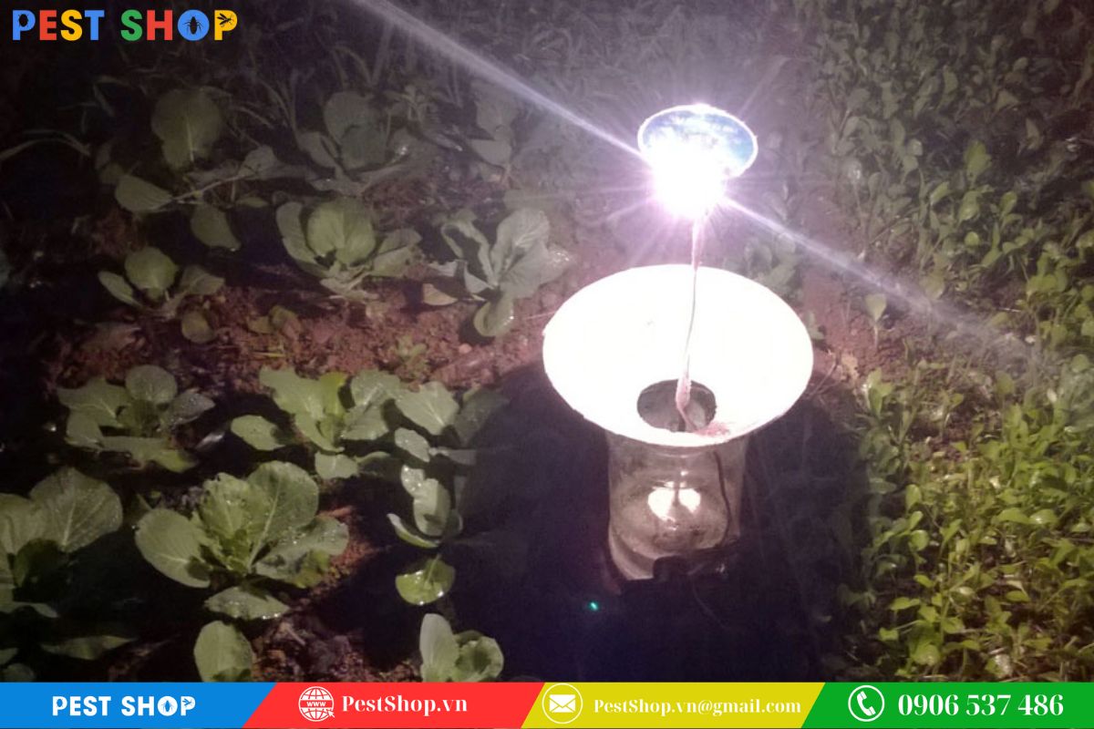 Dùng đèn bẫy ngoài nhà để dụ kiến rời đi