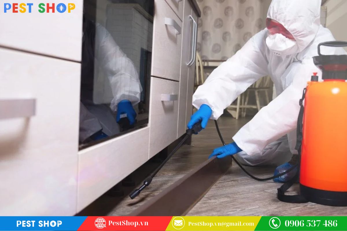 Chế phẩm hóa học diệt tận gốc kiến cánh