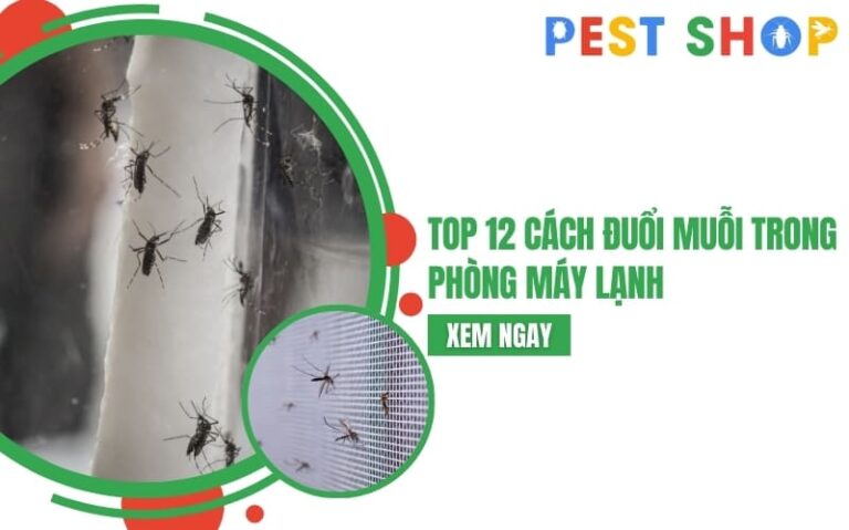 cách đuổi muỗi trong phòng máy lạnh