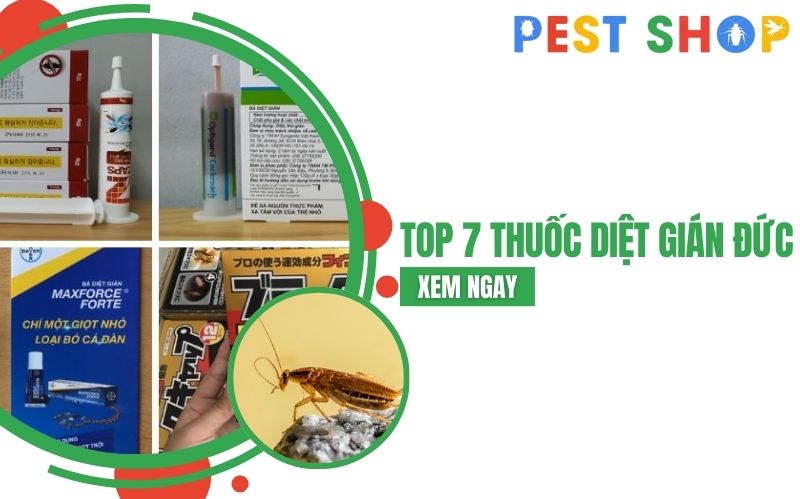 thuốc diệt gián đức