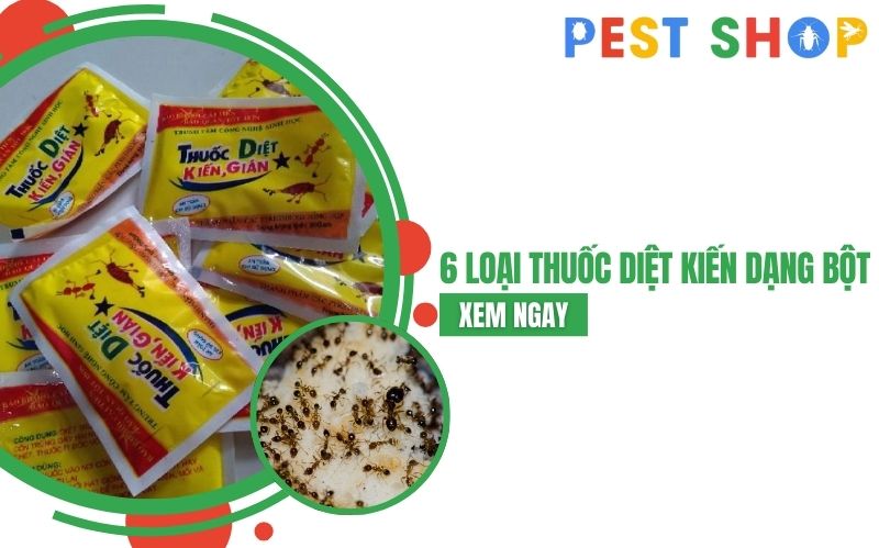 thuốc diệt kiến dạng bột
