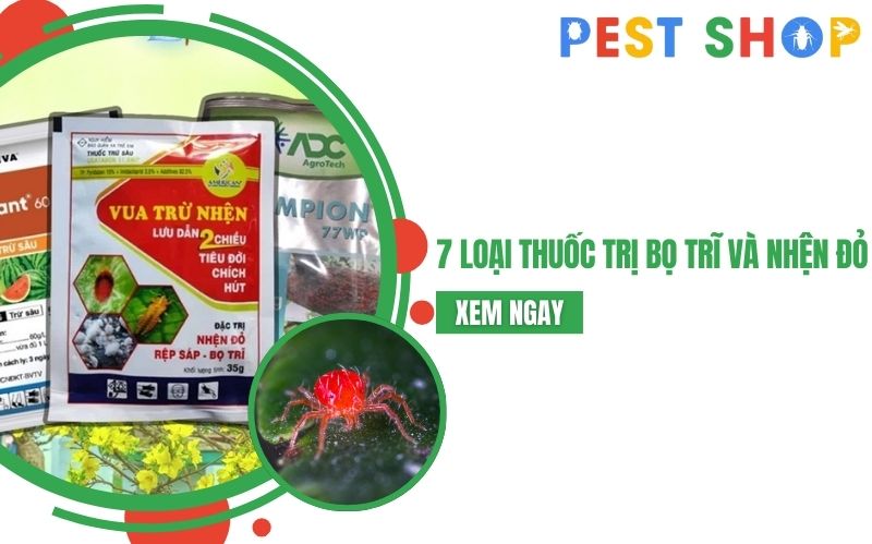 thuốc trị bọ trĩ và nhện đỏ