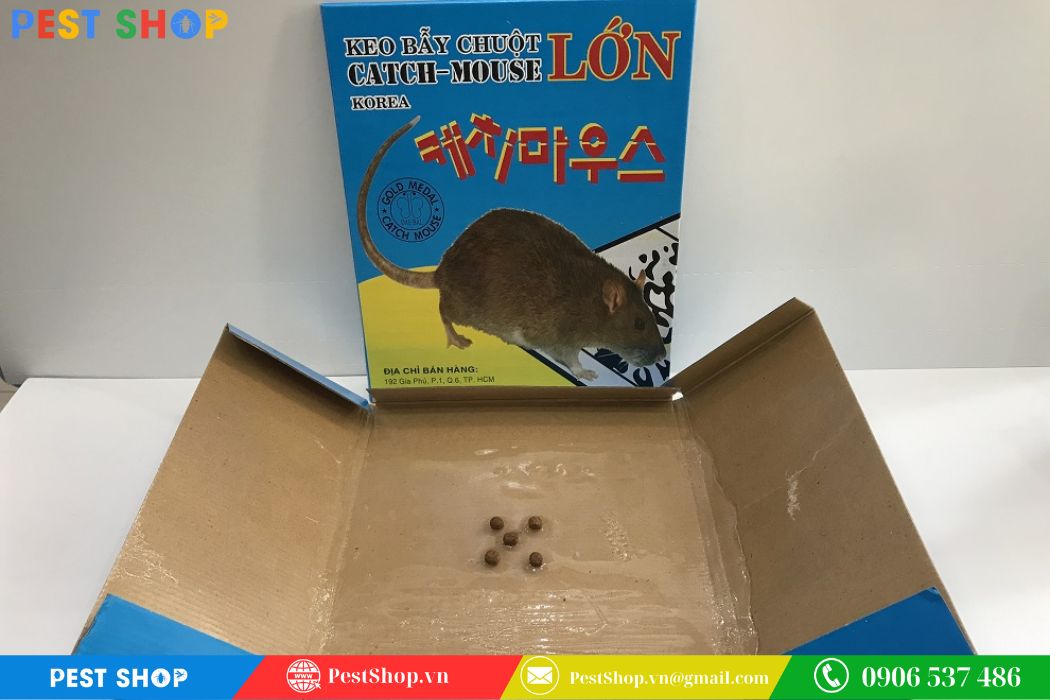 Keo bẫy chuột Đại Phát