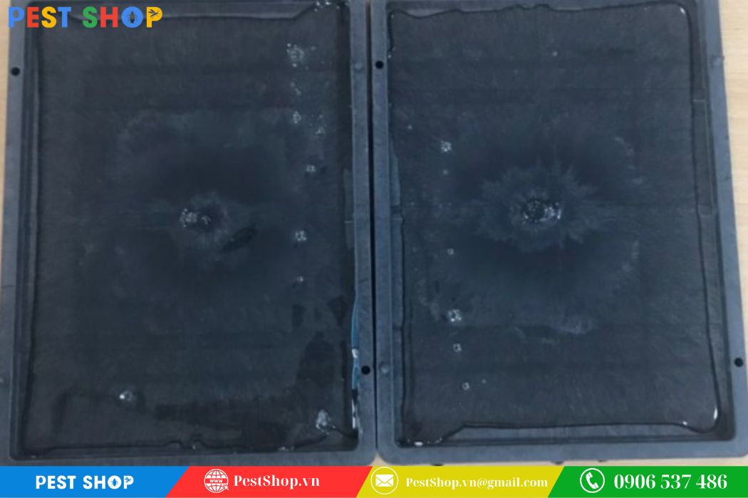 Keo bẫy chuột Hanpet