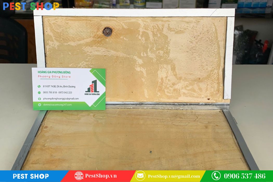 Keo bẫy chuột Hoàng Gia Miếng gỗ lớn