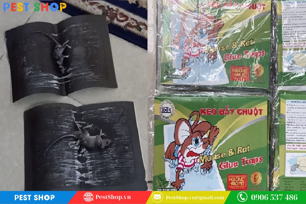 Keo dán chuột Đại Lộc