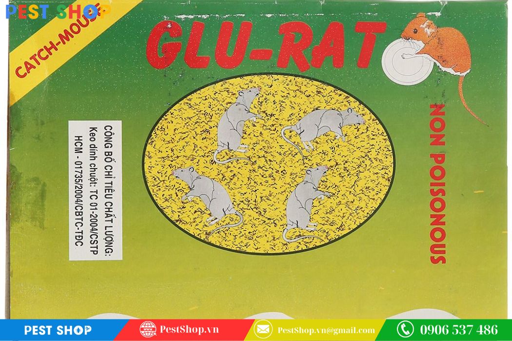 Keo dính chuột Tiến Phát