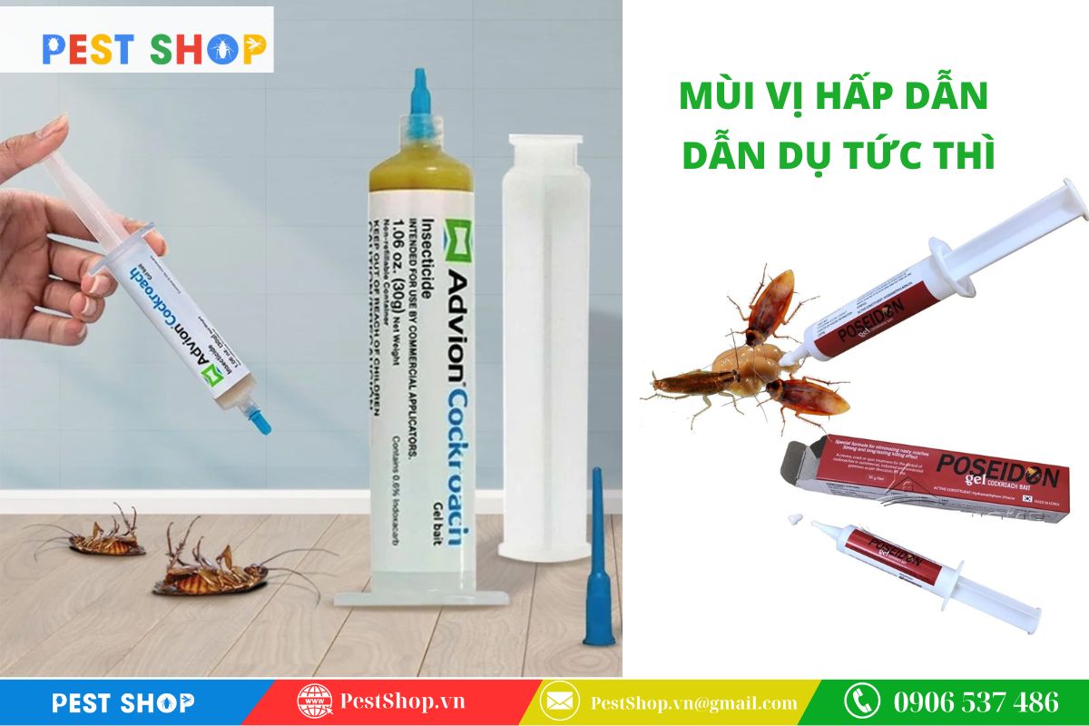 Đảm bảo khả năng dẫn dụ và mùi vị hấp dẫn đối với gián