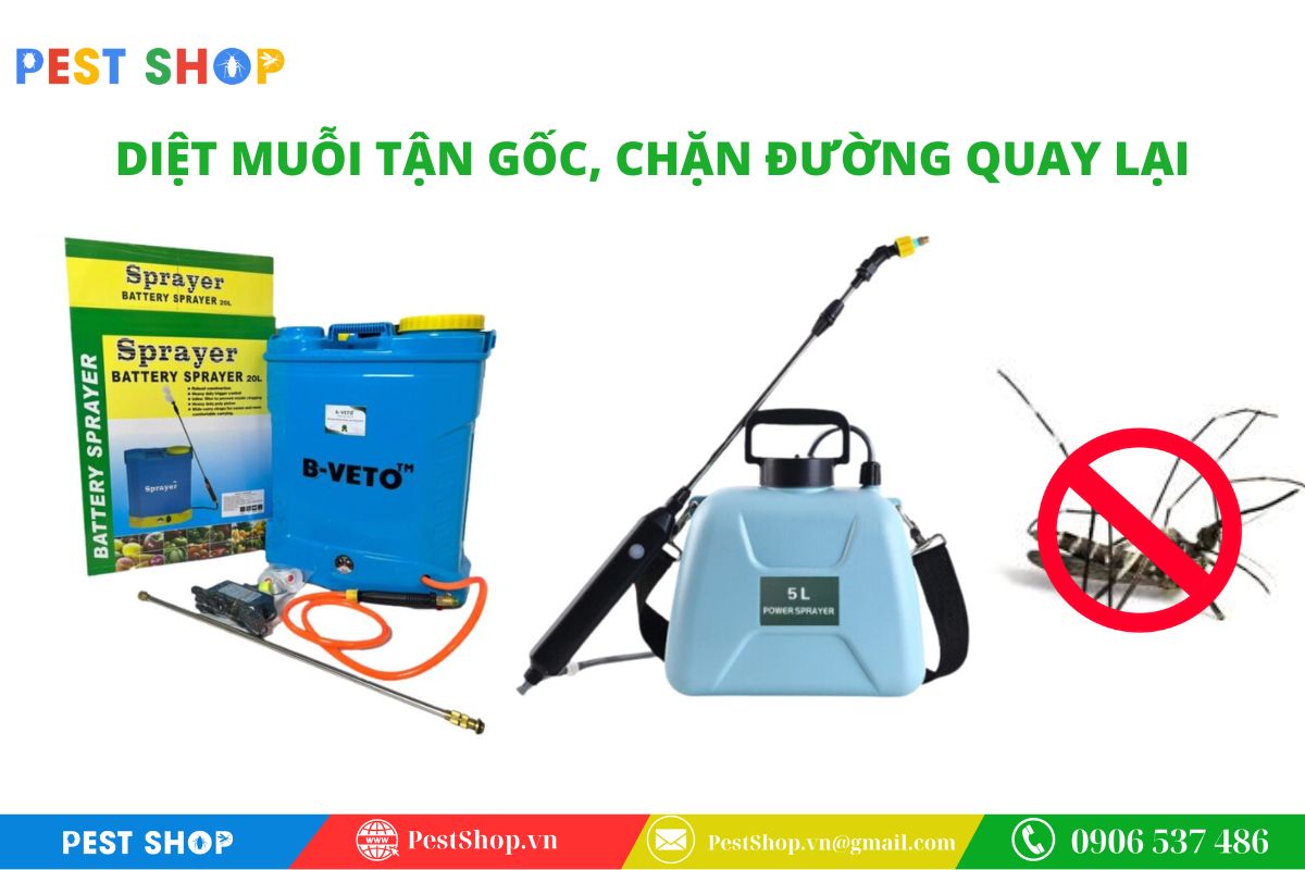 Đảm bảo tiêu diệt muỗi triệt để và ngăn ngừa tái xâm nhập