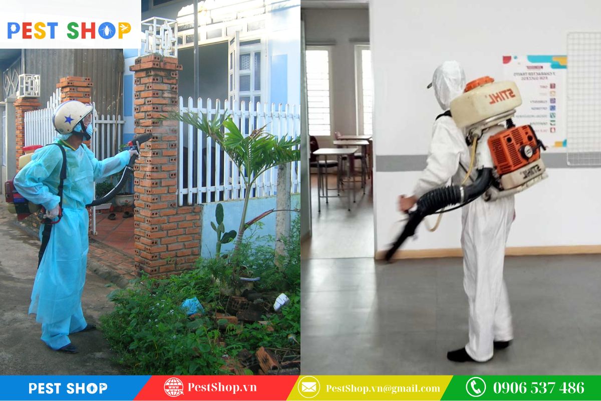 Xác định vùng xịt mục tiêu bên trong và bên ngoài không gian sống