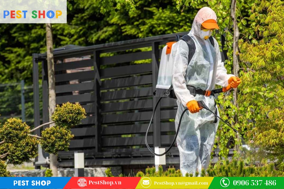 Thời gian phun thuốc diệt muỗi vào chiều tối