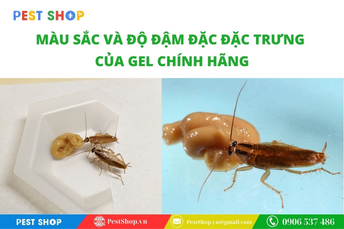 Màu sắc và độ đậm đặc đặc trưng của gel chính hãng