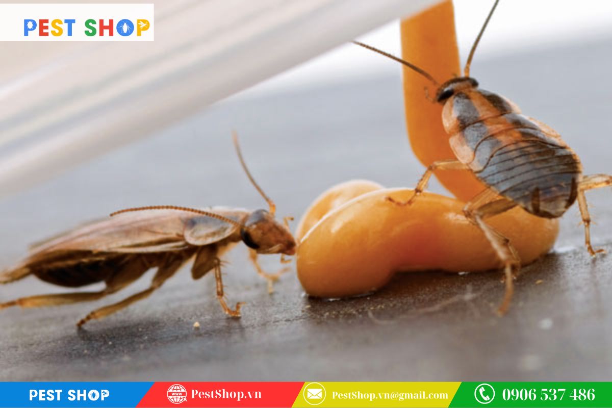 Mùi hương dẫn dụ thay vì mùi hóa chất nồng nặc