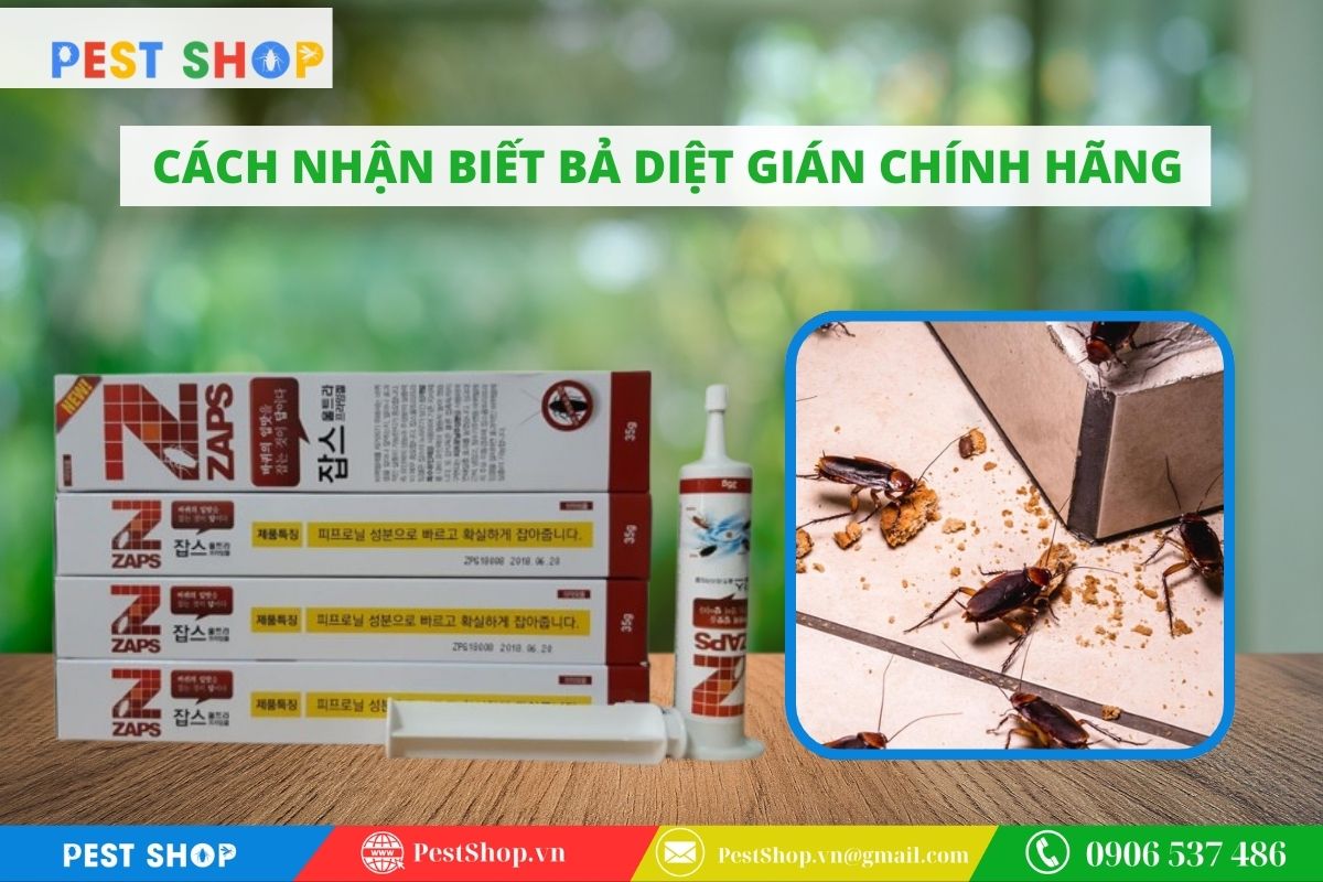 Cách nhận biết bả diệt gián chính hãng qua logo và chất gel