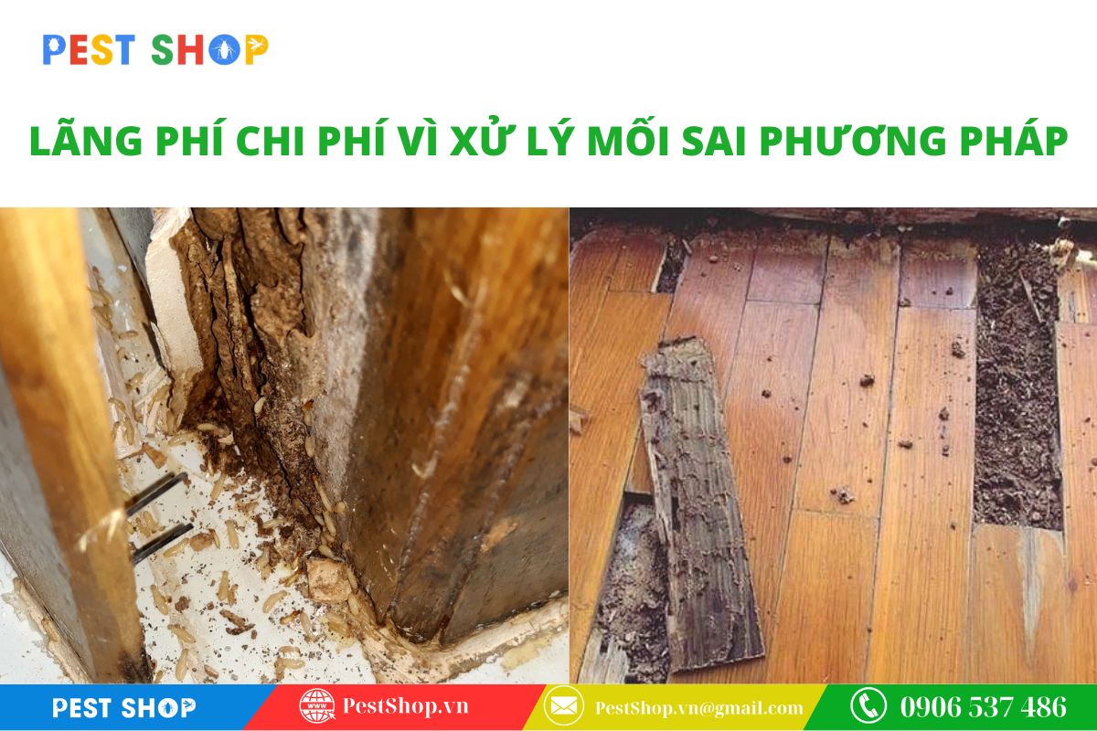 Thiệt hại về tài sản và chi phí khi phải xử lý lại nhiều lần