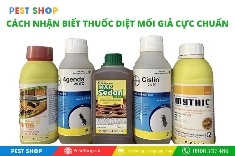 Cách nhận biết thuốc diệt mối giả trên thị trường