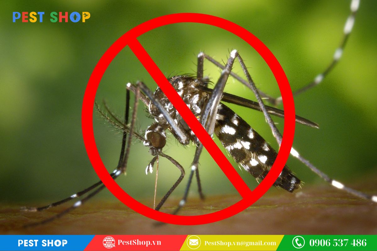 Đảm bảo hiệu quả tiêu diệt muỗi tận gốc