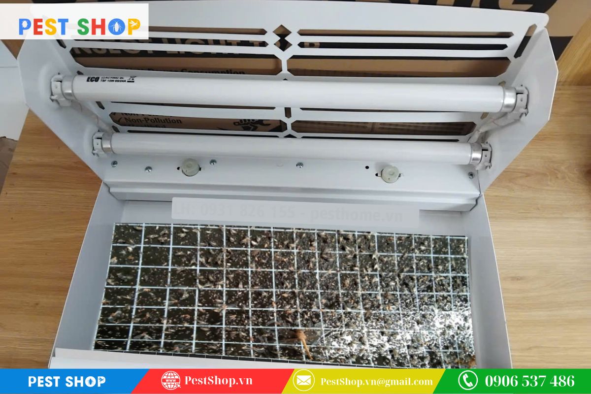 Ngăn ngừa vi khuẩn và mùi hôi từ xác côn trùng tích tụ