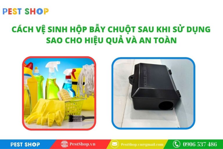 cách vệ sinh hộp bẫy chuột sau khi sử dụng