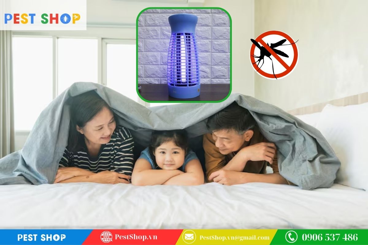 Bảo vệ sức khỏe gia đình trước dịch bệnh sốt xuất huyết