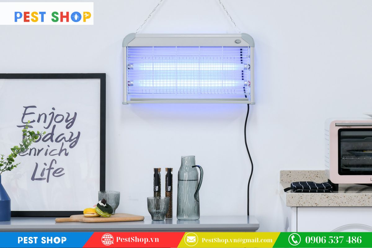 Đèn thẩm mỹ gắn tường dành cho không gian sang trọng