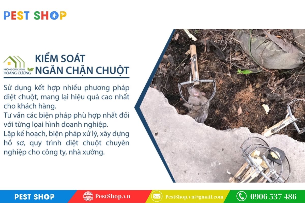 Không Gian Xanh Hoàng Cường – Giải pháp kiểm soát dịch hại toàn diện