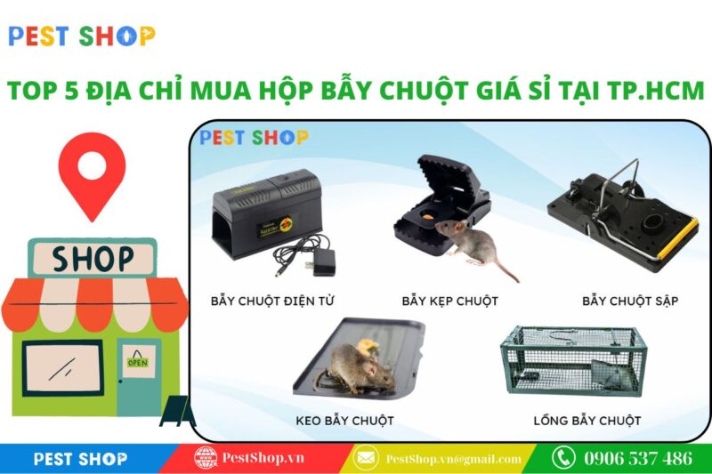 địa chỉ mua hộp bẫy chuột giá sỉ tại tp.hcm