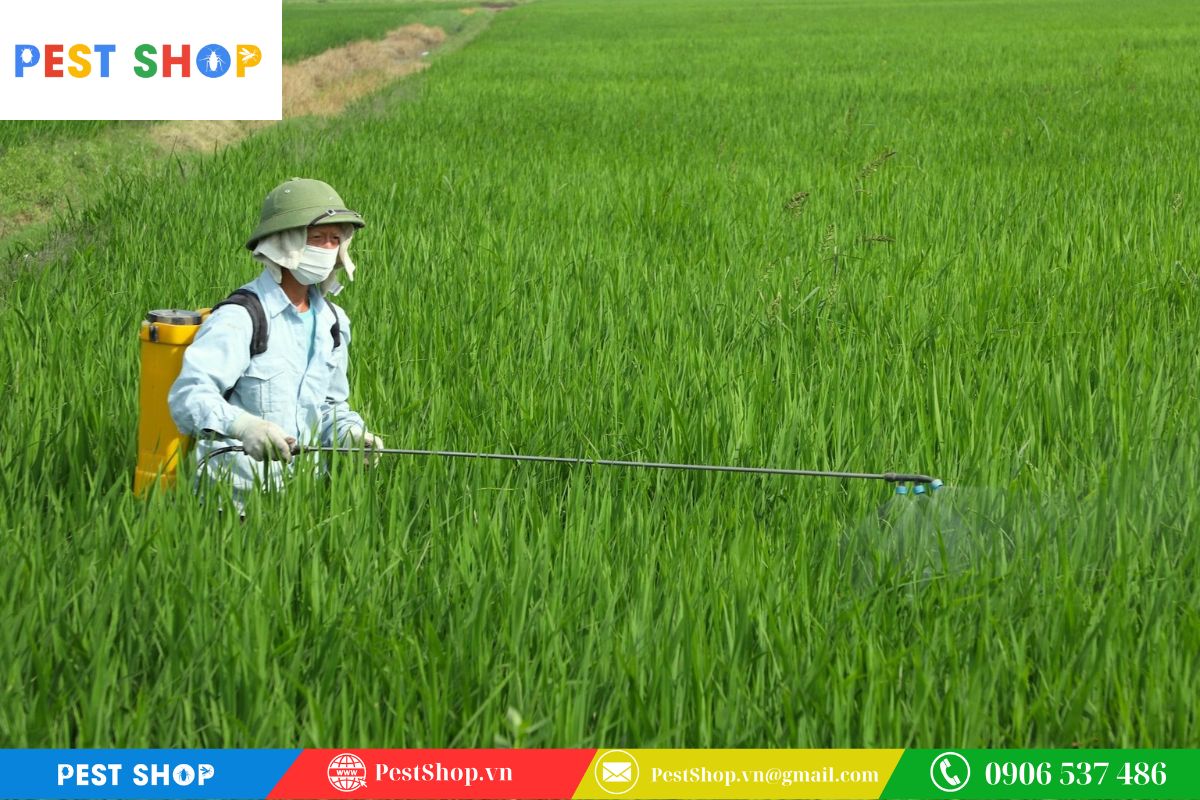 Vai trò của permethrin trong nông nghiệp và bảo vệ mùa màng