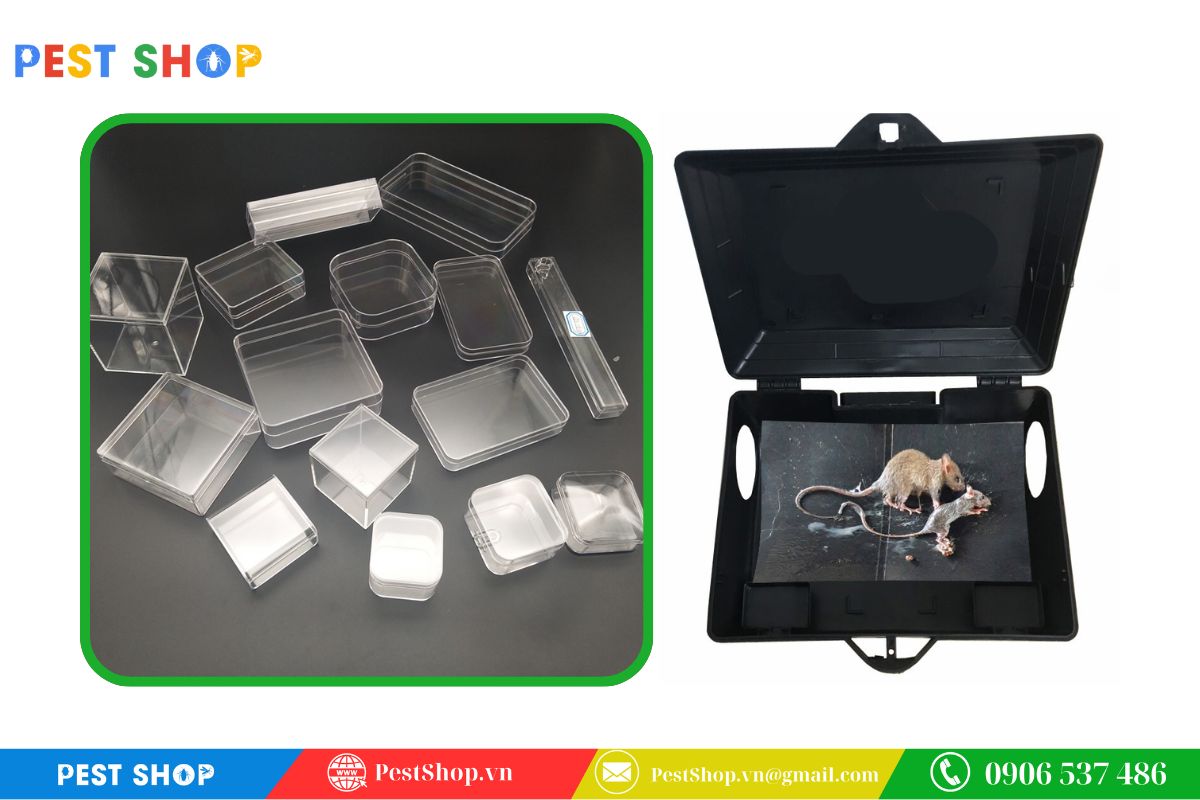 Nhựa PS là gì và tại sao được dùng làm hộp bẫy chuột?