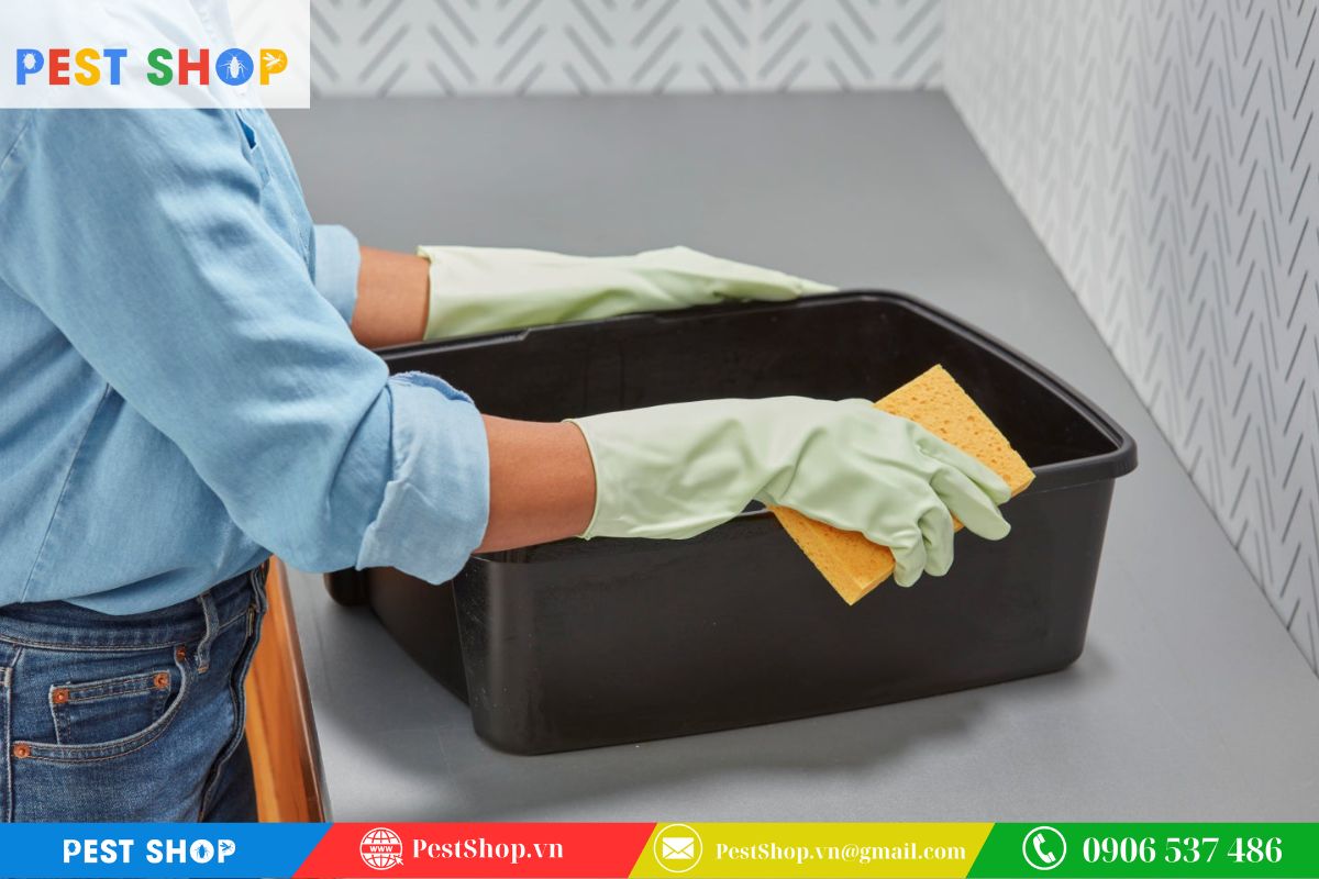 Cách vệ sinh và khử mùi sau mỗi lần chuột sập bẫy