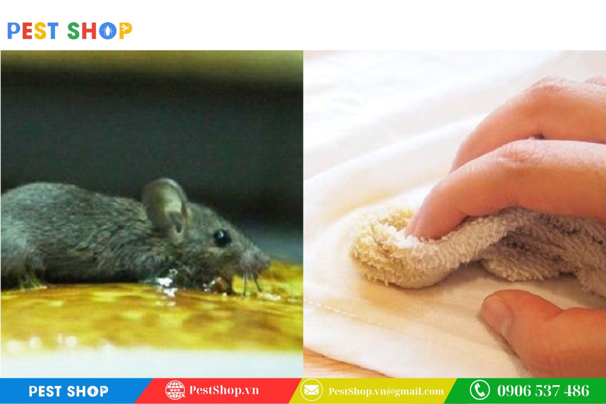 Mẹo xử lý vết keo dính trên quần áo và đồ dùng của trẻ