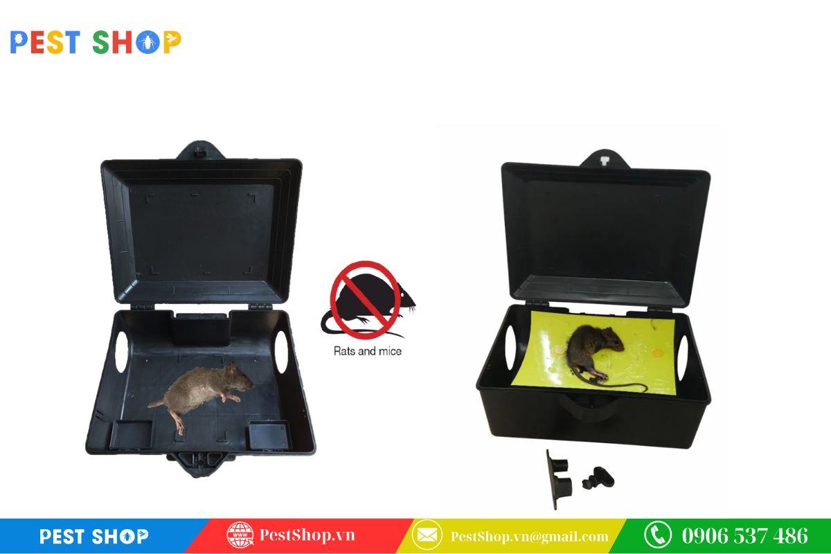 Sử dụng hộp bẫy chuột chuyên dụng để tăng cường lớp bảo vệ