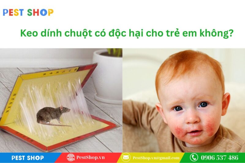 Keo dính chuột có độc hại cho trẻ em không