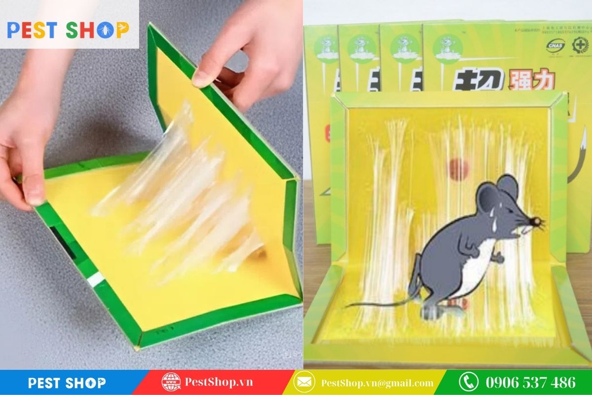 Độ dày và khả năng bám dính của lớp keo