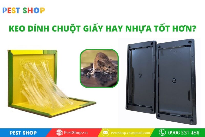 keo dính chuột giấy hay nhựa tốt hơn?