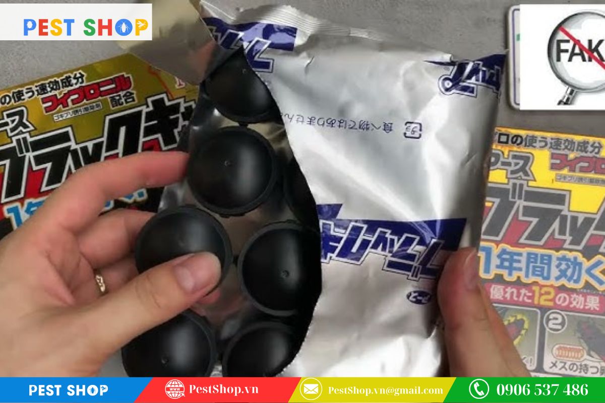 Nguy cơ từ thuốc diệt gián kém chất lượng