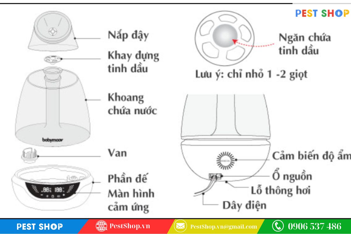 Cơ chế chuyển hóa tinh dầu thành dạng hơi