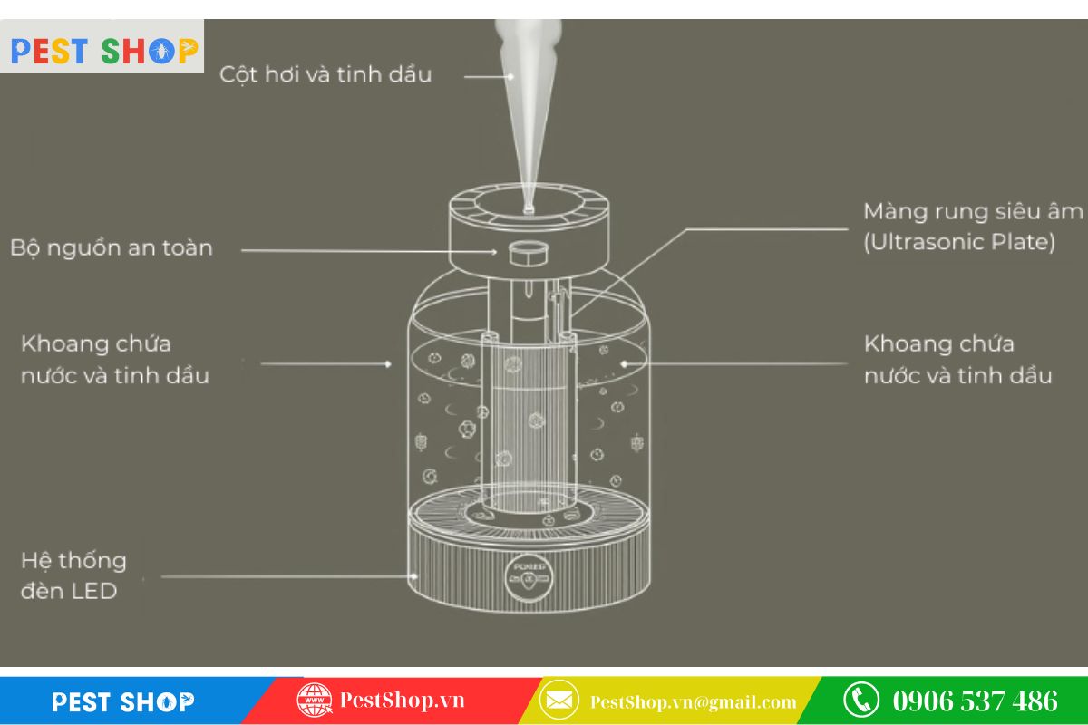 Tác động của phân tử tinh dầu lên hệ thần kinh muỗi
