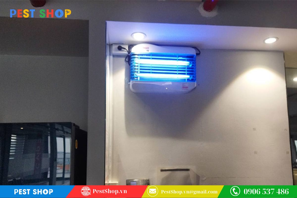 Đèn Well – Mạnh mẽ cho nhà phố, quán ăn