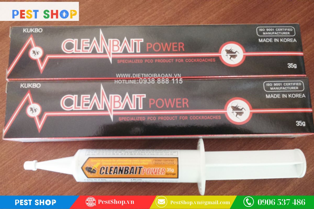 Khả năng diệt sạch 95% gián Đức của Cleanbait Power sau 24 giờ