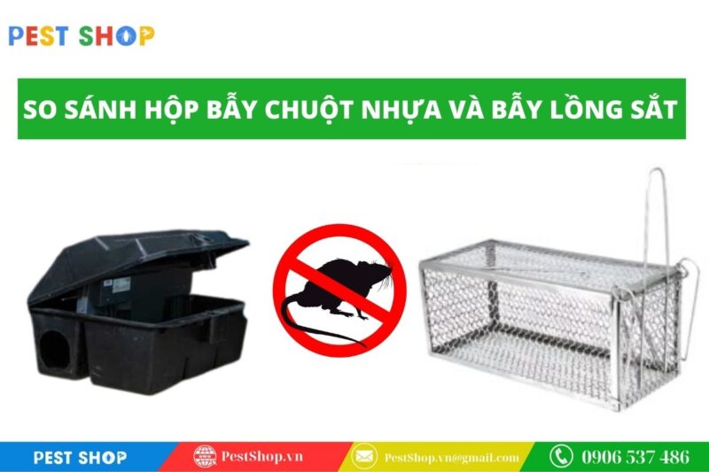 So sánh hộp bẫy chuột nhựa và bẫy lồng sắt
