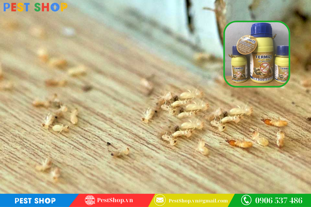 Cơ chế lây nhiễm và diệt tận gốc của Termize 200SC