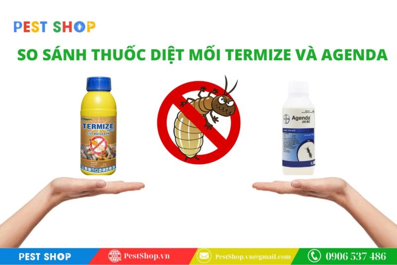 so sánh thuốc diệt mối termize và agenda
