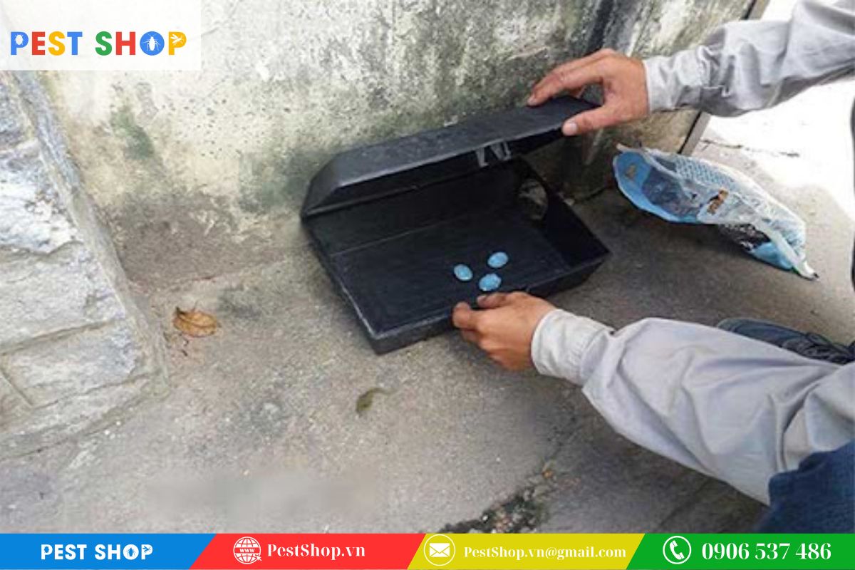 Khứu giác nhạy bén phát hiện mùi con người trên bẫy