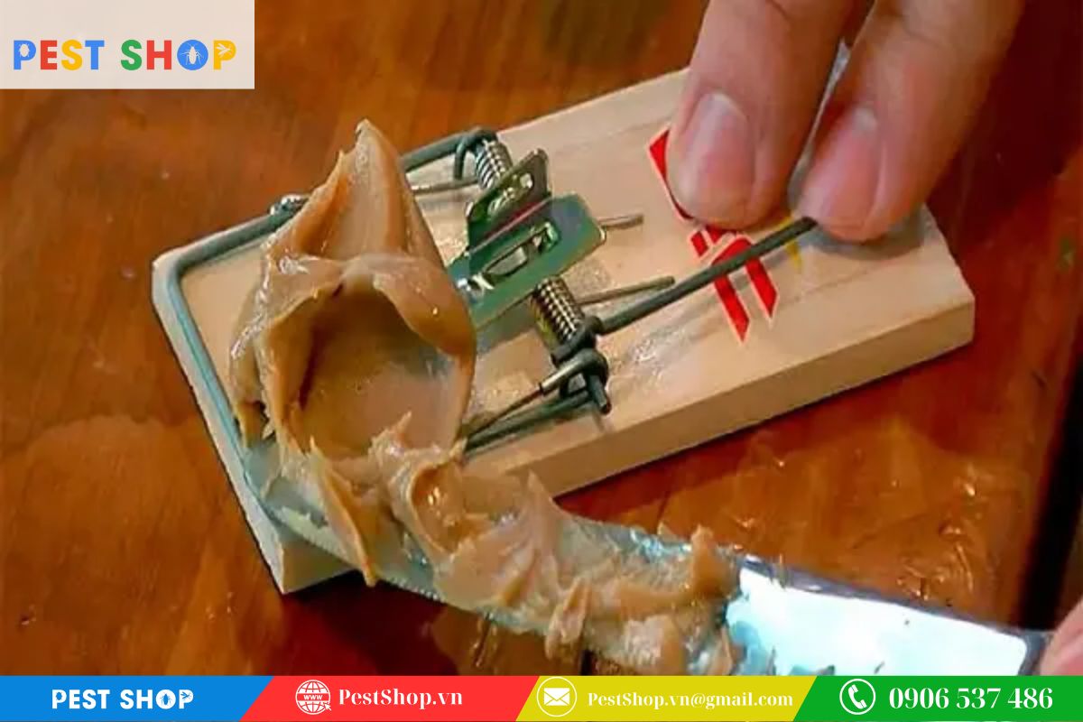 Sai lầm trong việc lựa chọn và trình bày mồi nhử