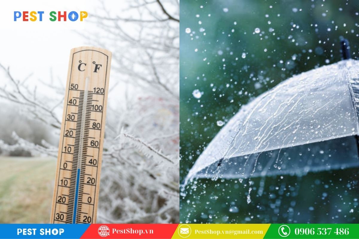 tai sao dat hop nhu moi nhung moi khong vao 6 Thời điểm đặt hộp vào những ngày thời tiết quá lạnh hoặc mưa lớn