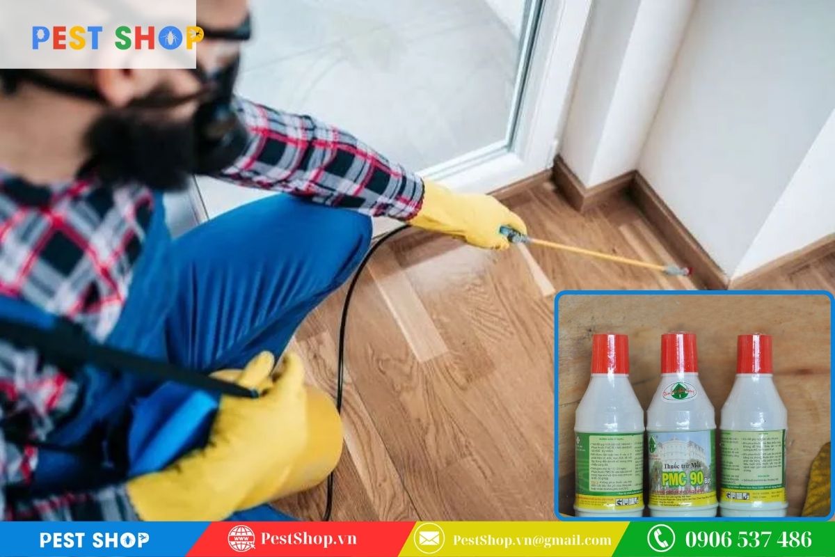 tai sao dat hop nhu moi nhung moi khong vao 9 Thời điểm vàng để phun thuốc diệt mối sinh học PMC 90