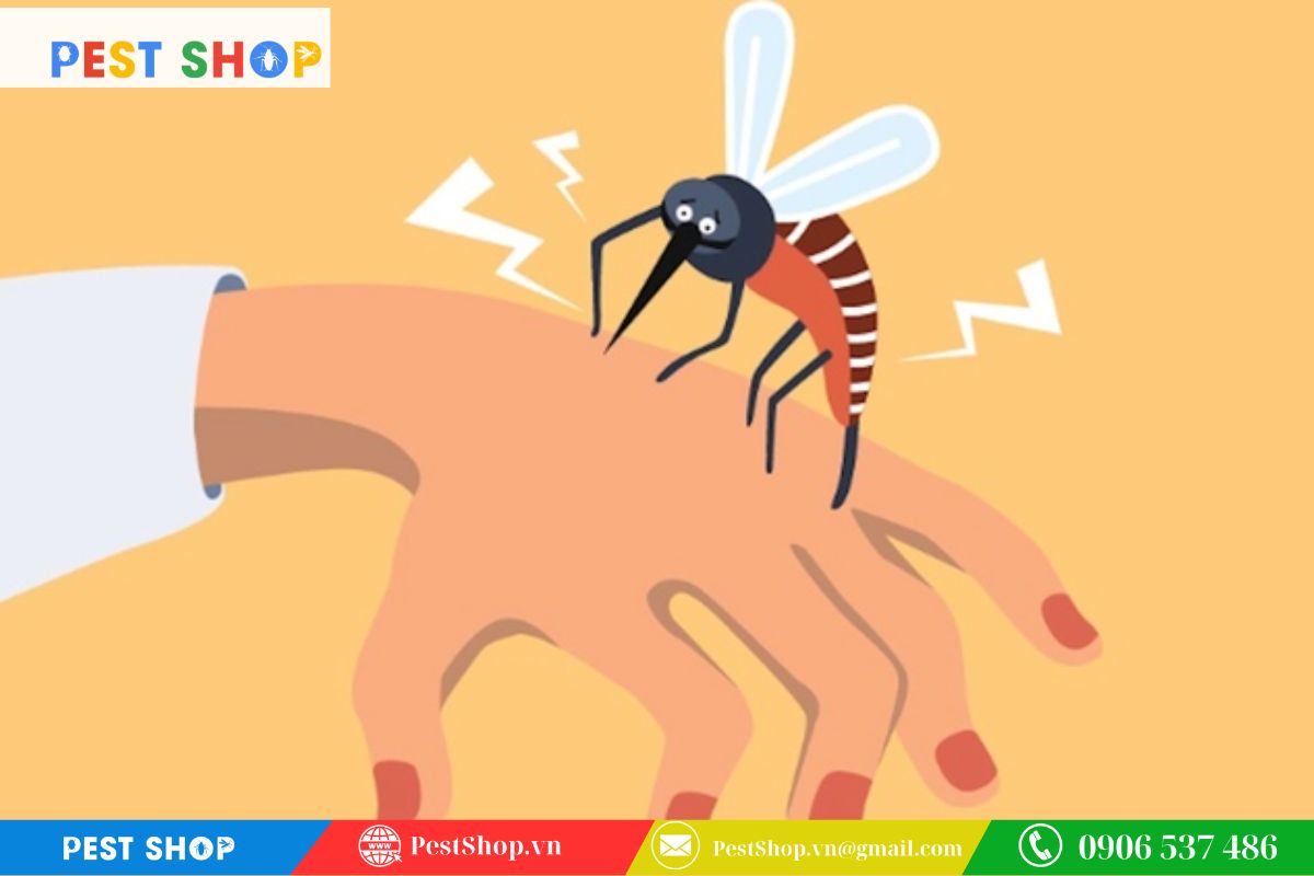 tai sao den diet con trung khong thu hut duoc muoi 2 Bản năng sinh học ưu tiên mùi cơ thể hơn ánh sáng