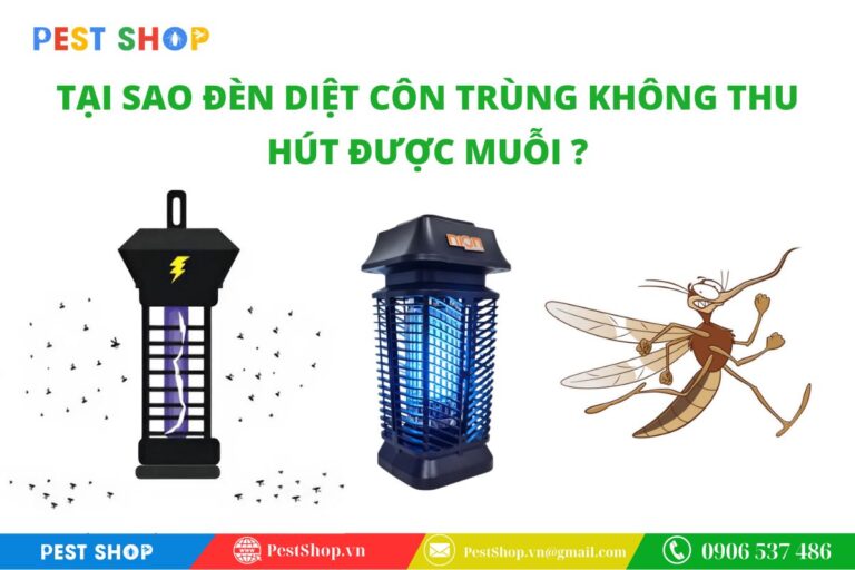 tại sao đèn diệt côn trùng không thu hút được muỗi