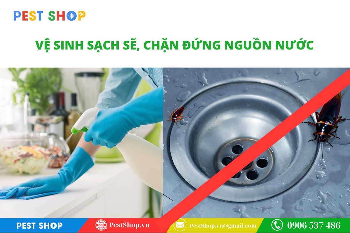 tai sao dung thuoc xit gian thuong khong hieu qua 7 2 Sự cân bằng giữa tính an toàn cho người dùng và hiệu lực diệt trừ